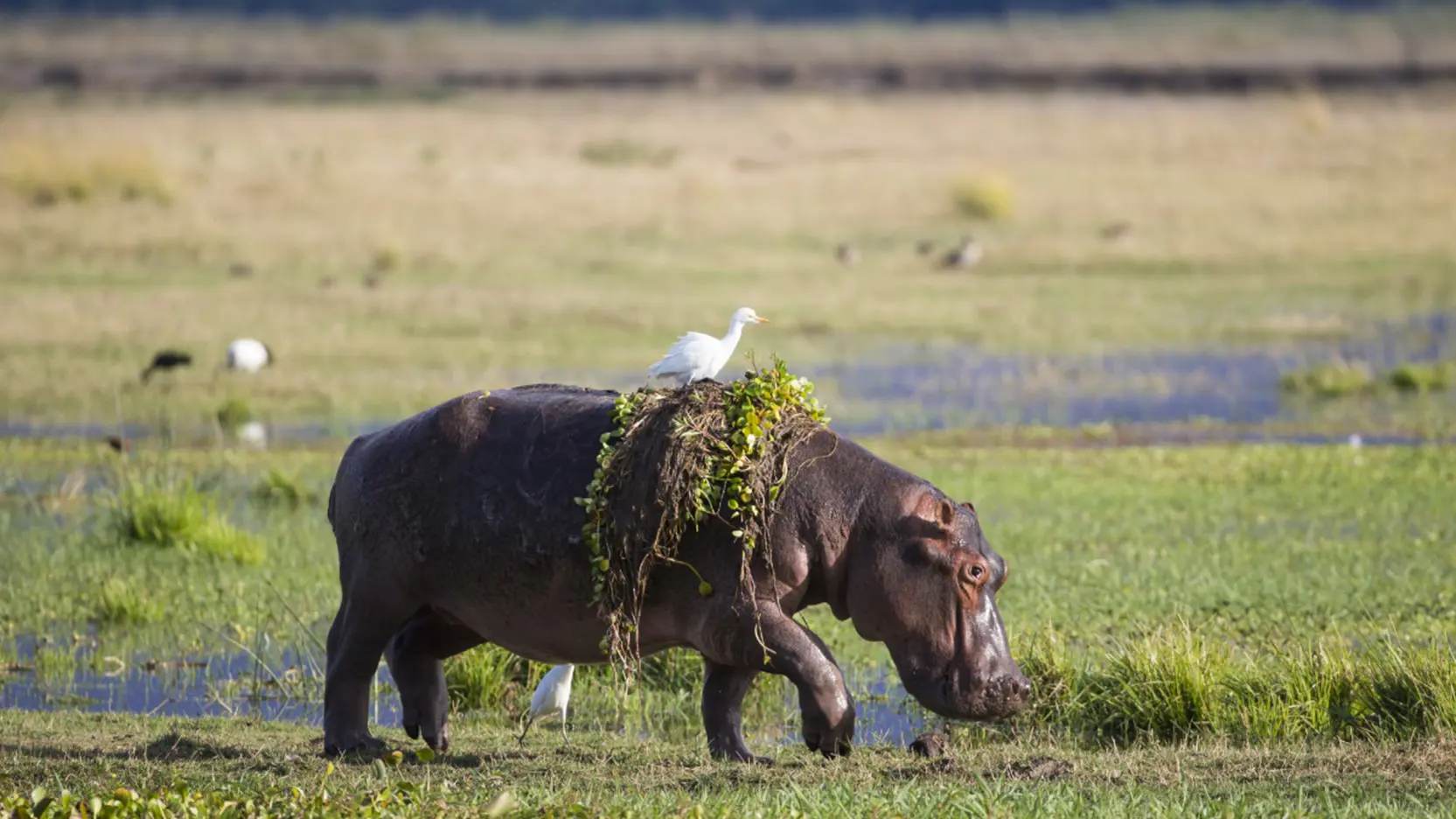 Shutterstock 206714923