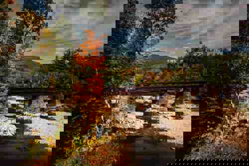 Day Four: take it easy in Bethel