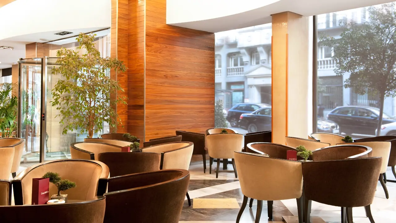 Hotel Catalonia Gran Via Madrid, Madrid Lounge