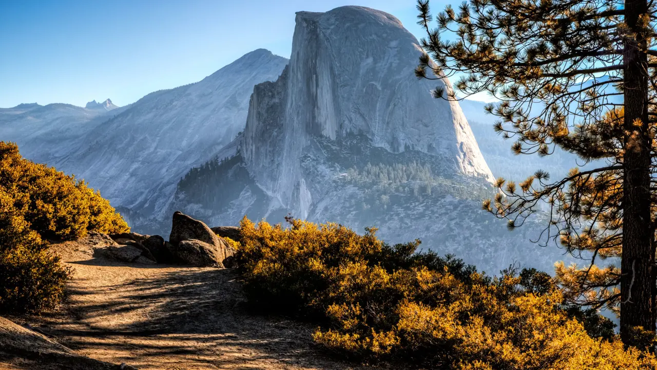 Yosemite National Park, California, with warm yellow shrubs in the foreground, a mountain in the distance, and clear blue skies overhead