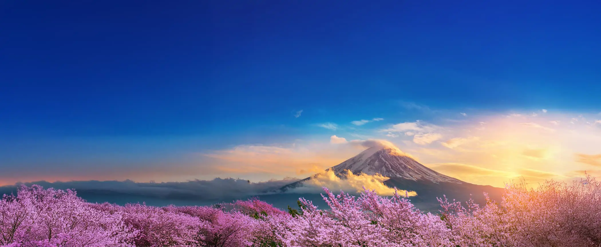 Adobestock 240362026 Mount Fuji, Japan Copy 2 (1)