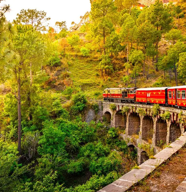 The heritage toy train crossing a railway bridge on the Kalka–Shimla route, surrounded by lush green hills and trees