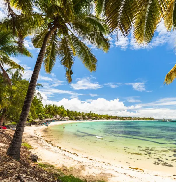 A tropical beach in Belle Mare, Mauritius, lined with leaning palm trees and golden sand, looking out over clear turquoise water beneath a bright blue sky with scattered clouds