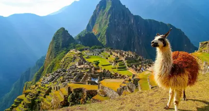 A llama standing among the ancient stone ruins of Machu Picchu, Peru, with the misty Andes mountains in the background