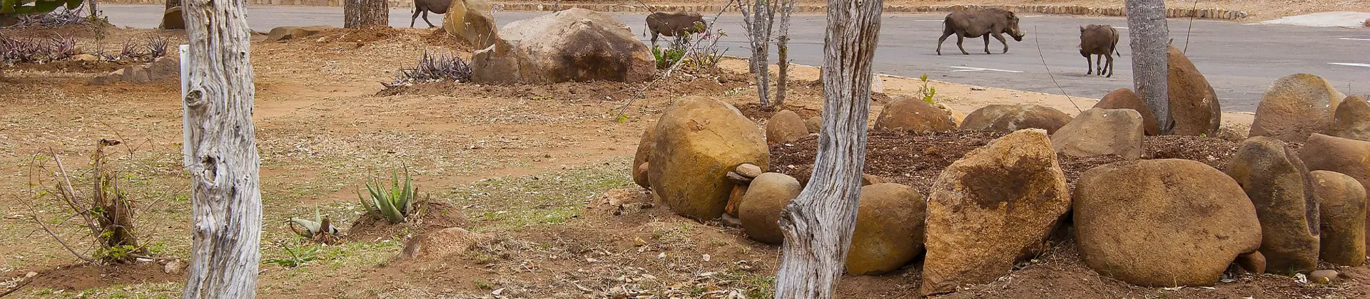 Kruger National Park, gate