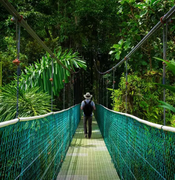 A man walking across a suspension bridge surrounded by lush greenery in the Monteverde Cloud Forest