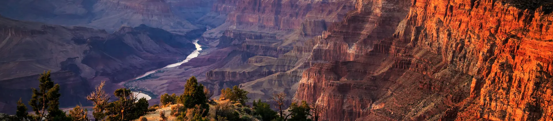 Shutterstock 213428935